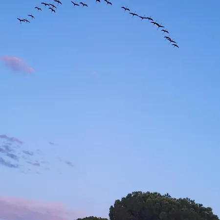 Marina Nirvana Vue Sur L'eau 펜션 르그로뒤후아
