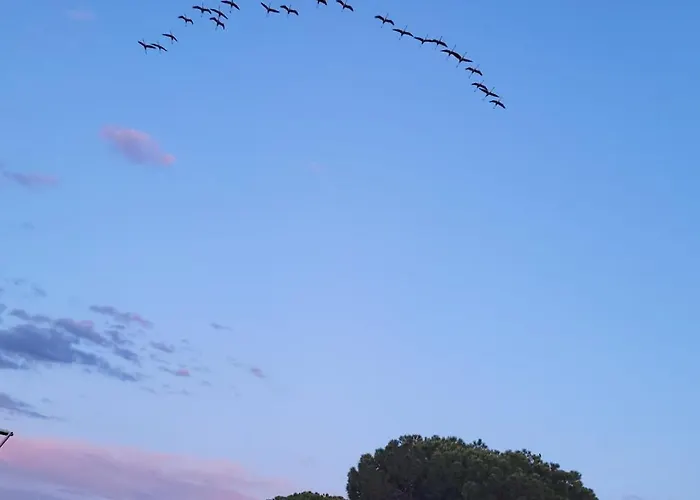 Marina Nirvana Vue Sur L'eau בית נופש לה-גרו-דו-רואה